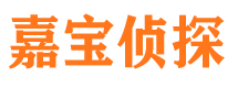 麦积区侦探公司